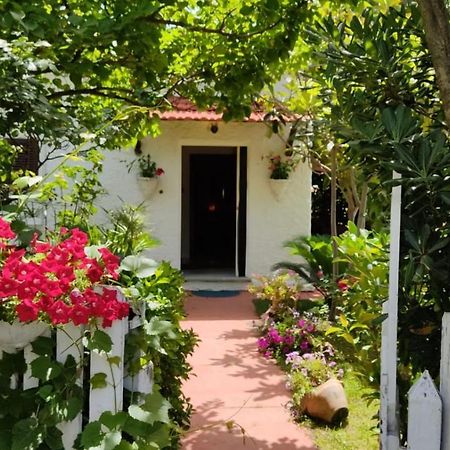 La Corte Delle Rose B&B Прая-а-Маре Экстерьер фото