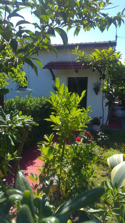 La Corte Delle Rose B&B Прая-а-Маре Экстерьер фото