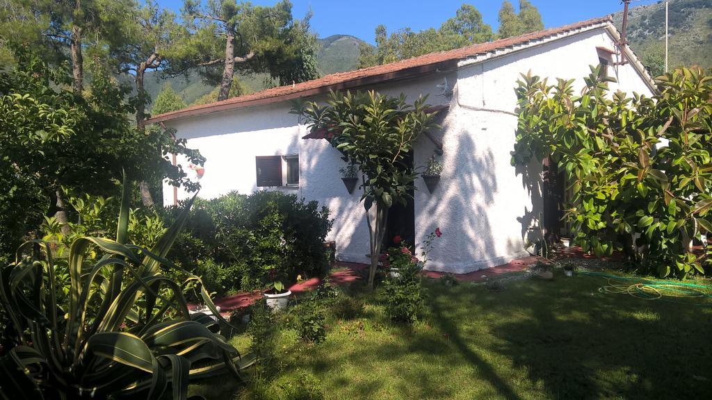 La Corte Delle Rose B&B Прая-а-Маре Экстерьер фото
